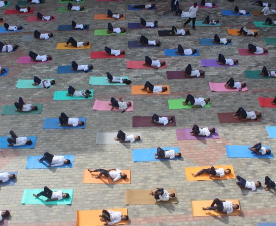 Dolphin's Public school International Day of Yoga